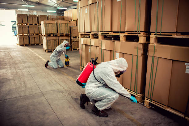  Capac, MI Pest Control Pros