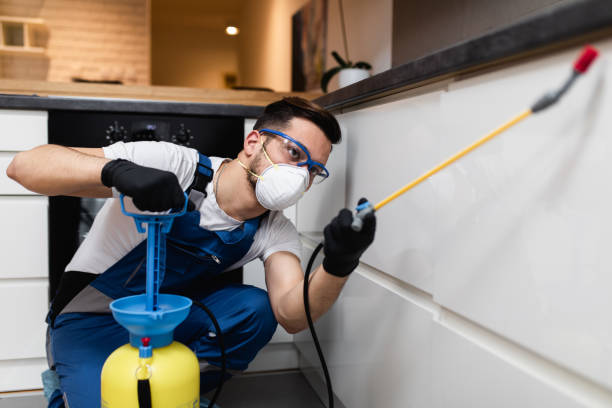 Best Rat Extermination Near Me  in Capac, MI