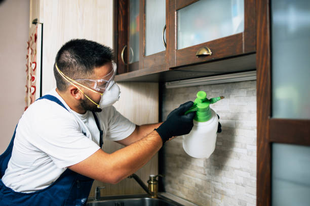 Best Emergency Pest Control  in Capac, MI