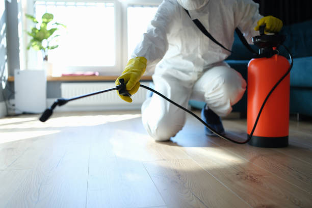 Best Affordable Pest Control Services  in Capac, MI