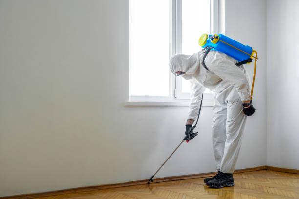 Best Commercial Pest Control Services  in Capac, MI