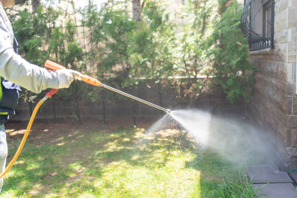 Best Best Pest Control Companies  in Capac, MI