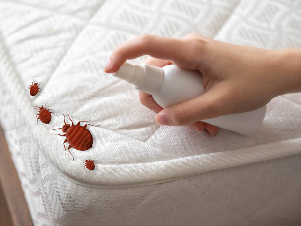 Best Insect Control  in Capac, MI